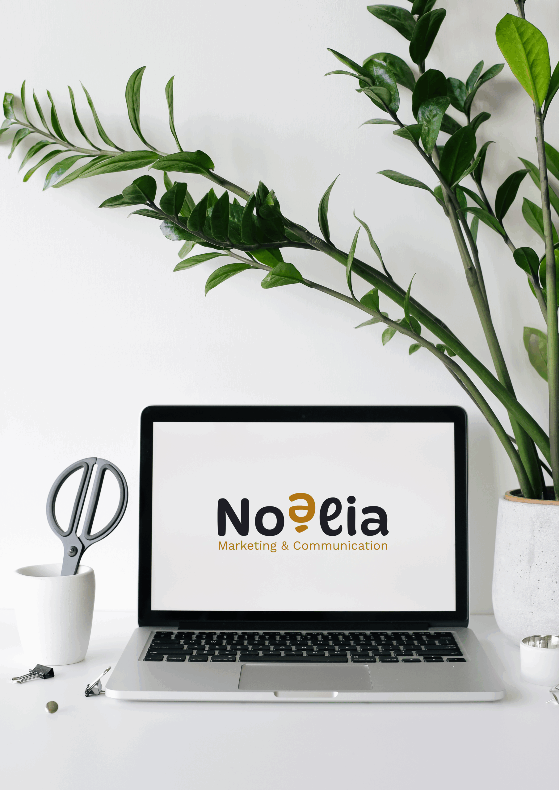 Noélia - agence 360